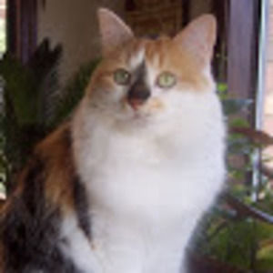 Meet your Posher, Robin